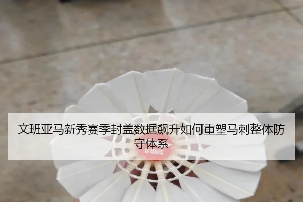 wen-ban-ya-ma-xin-xiu-sai-ji-feng-gai-shu-ju-biao-sheng-ru-he-zhong-su-ma-ci-zheng-ti-fang-shou-ti-xi-2-342.jpg